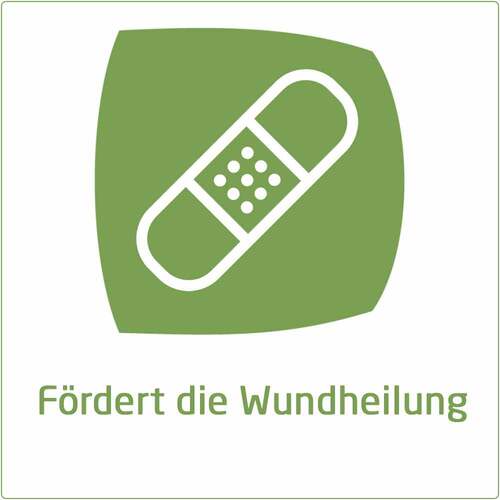 Calendula Wundsalbe bei Sch&uuml;rfwunden und Hautverletzungen - 6