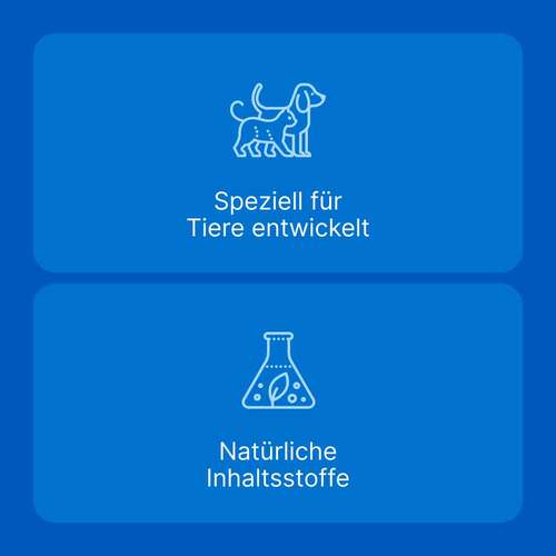 Traumeel T ad us. vet. Tabletten f&uuml;r Hund und Katze - 5