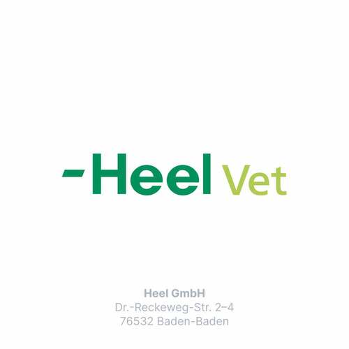 Traumeel T ad us. vet. Tabletten f&uuml;r Hund und Katze - 8