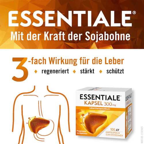 ESSENTIALE® unterst&uuml;tzende Behandlung bei Fettleber - 3