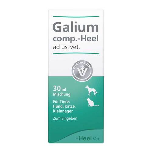 Abbildung: Galium comp.-Heel Tropfen für Hunde / Katzen / Kleinnag. Tropfen, 30 ml PZN 04658050