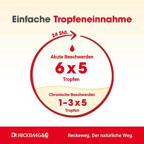 Migr&auml;ne-Gastreu M R16 Tropfen zum Einnehmen - 4