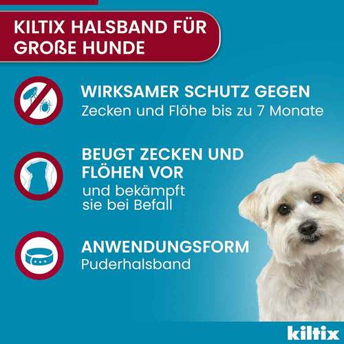 Kiltix f&uuml;r gro&szlig;e Hunde Halsband - 4