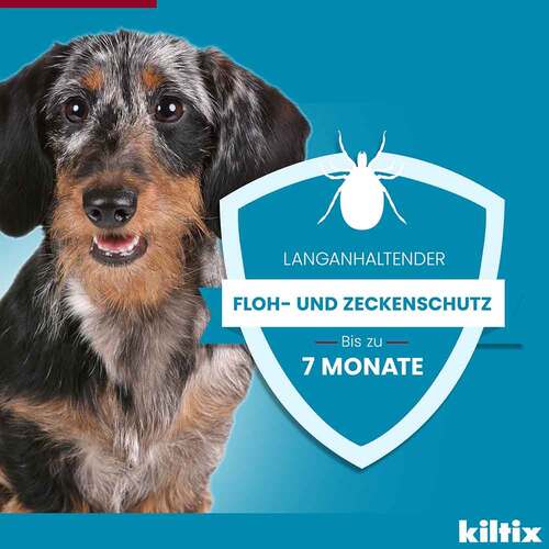 Kiltix f&uuml;r gro&szlig;e Hunde Halsband - 5