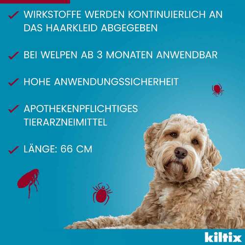 Kiltix f&uuml;r gro&szlig;e Hunde Halsband - 6