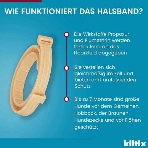 Kiltix f&uuml;r gro&szlig;e Hunde Halsband - 8