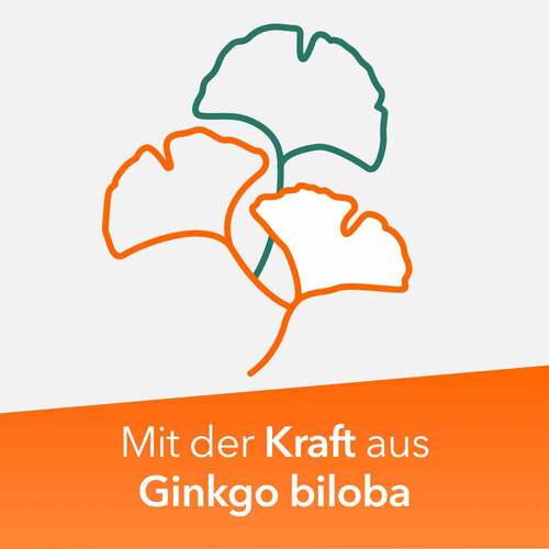 Ginkobil ratiopharm 120mg mit Ginkgo biloba - 3