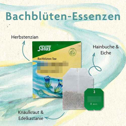 Bachblüten Tee Motivation & Zuversicht Bio Salus - 2