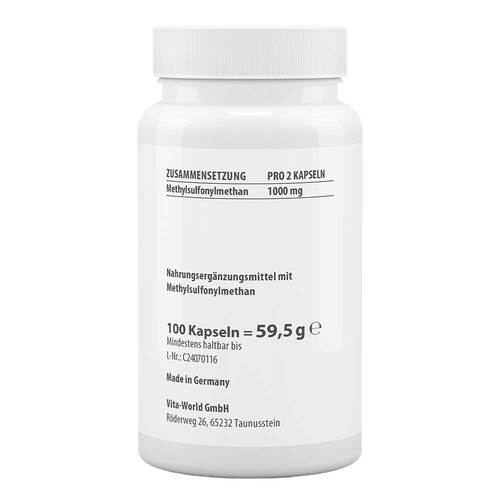 MSM Kapseln von Vita World - 2
