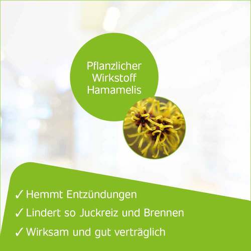 Hametum® H&auml;morrhoidenz&auml;pfchen - 3