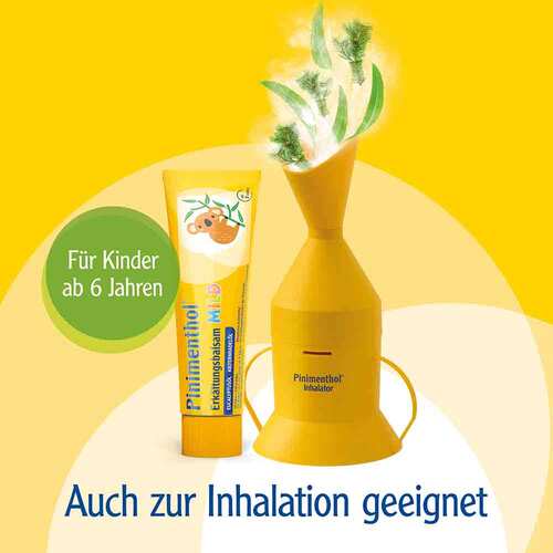 Pinimenthol® Erk&auml;ltungsbalsam mild Eucalyptus&ouml;l Kiefernnadel&ouml;l - 4