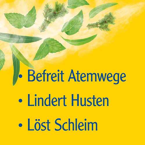 Pinimenthol® Erkältungssalbe Eucalyptusöl Kiefernnadelöl Menthol - 4