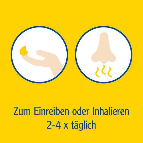 Pinimenthol® Erkältungssalbe Eucalyptusöl Kiefernnadelöl Menthol - 5