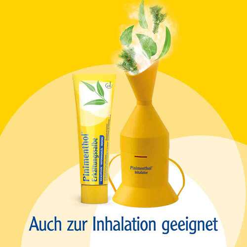 Pinimenthol® Erkältungssalbe Eucalyptusöl Kiefernnadelöl Menthol - 7
