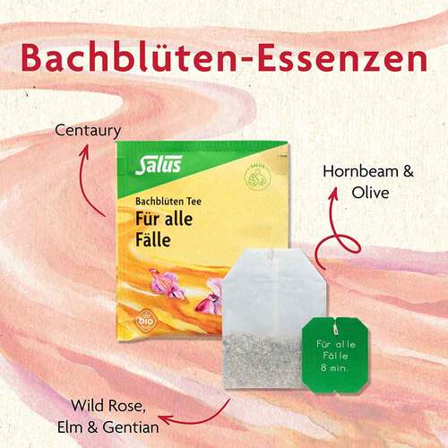 Bachblüten Tee Kraft & Energie bio Salus - 2