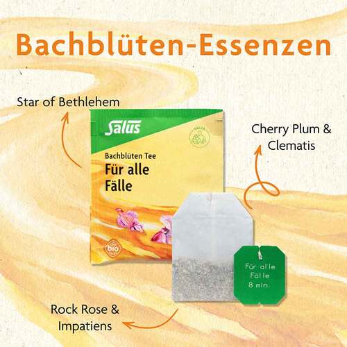 Bachblüten Tee Für alle Fälle bio Salus - 2