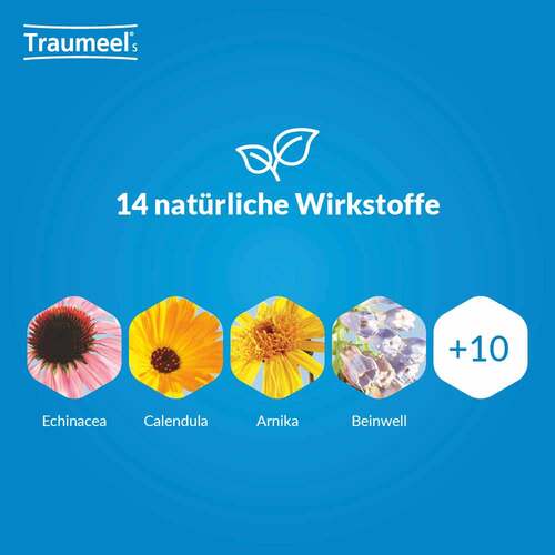 Traumeel S Tabletten - 4