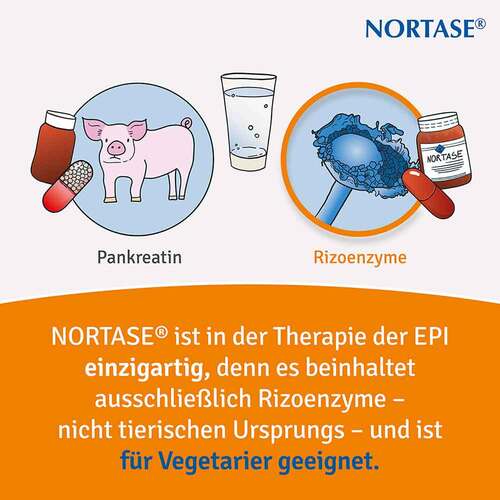 Nortase Kapseln - 3
