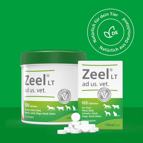 Zeel LT ad us. vet. Tabletten - 6
