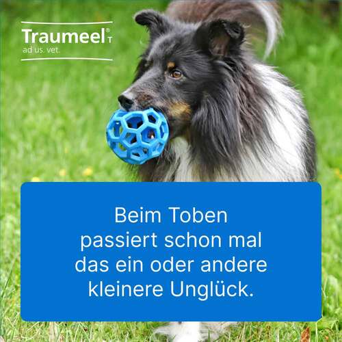 Traumeel T ad us. vet. Tabletten für Hund und Katze - 2