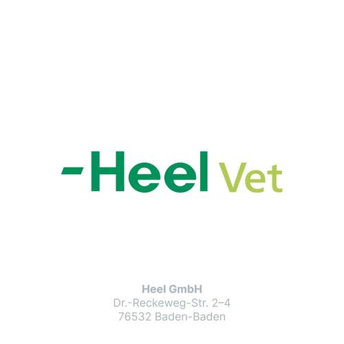 Traumeel T ad us. vet. Tabletten für Hund und Katze - 6