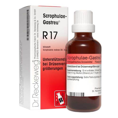 Scrophulae Gastreu R 17 Tropfen zum Einnehmen - 1