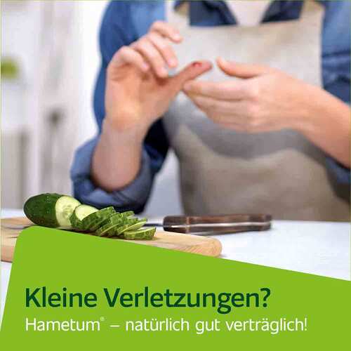 Hametum Wund- und Heilsalbe - 2