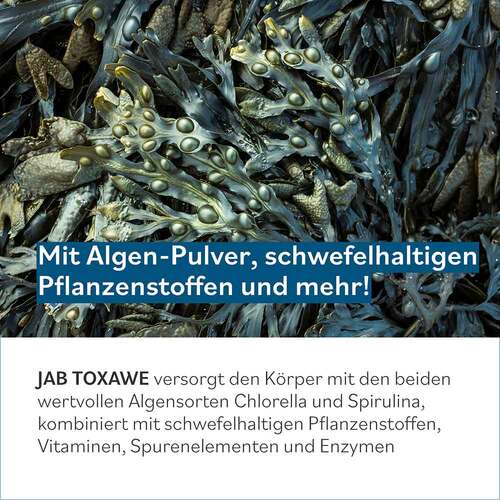 Jab Toxawe Kapseln - 3