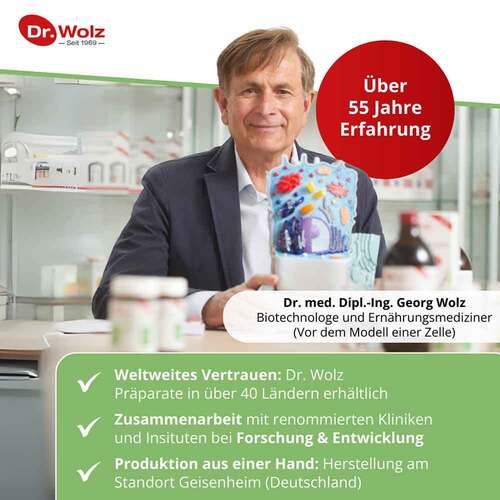 Ingwer Extrakt Dr. Wolz Kapseln - 6
