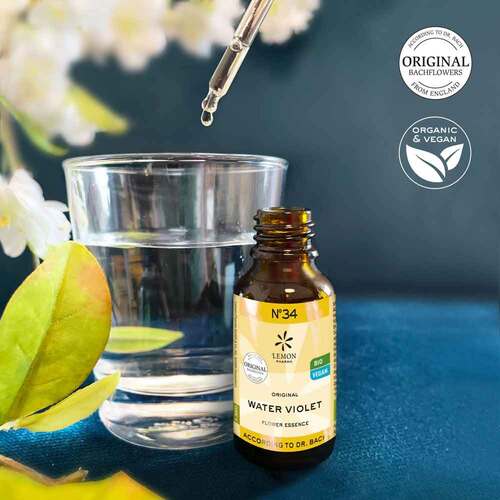 Bachbl&uuml;te No.34 Water Violet Bio - 2