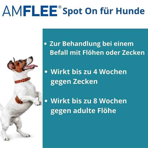 Amflee 67 mg f&uuml;r kleine Hunde - 2