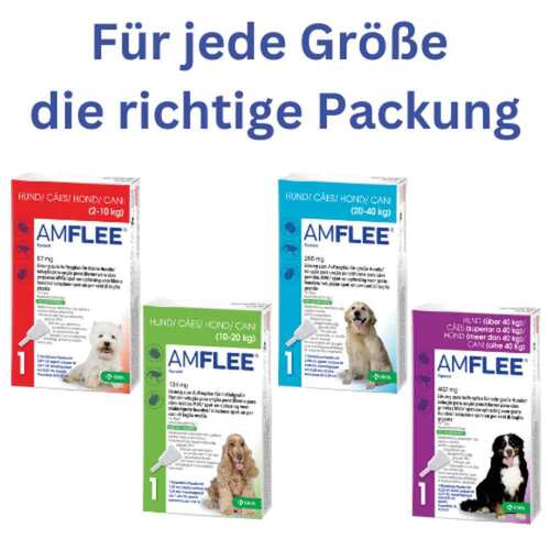 Amflee 268 mg Spot-On f&uuml;r gro&szlig;e Hunde - 4