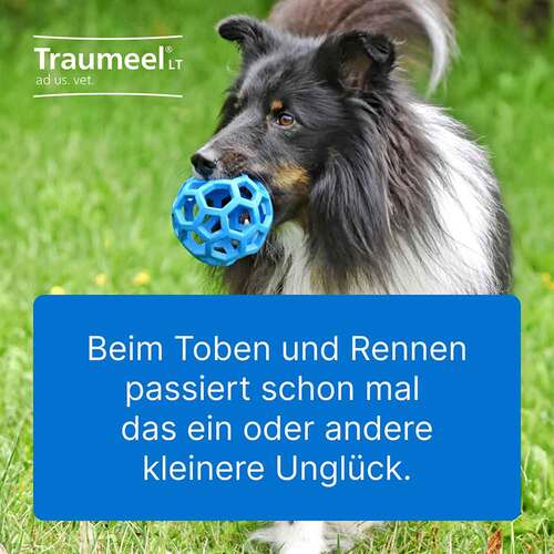 Traumeel LT Ampullen vet. (für Tiere) - 3