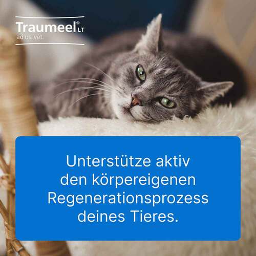 Traumeel LT Ampullen vet. (für Tiere) - 4