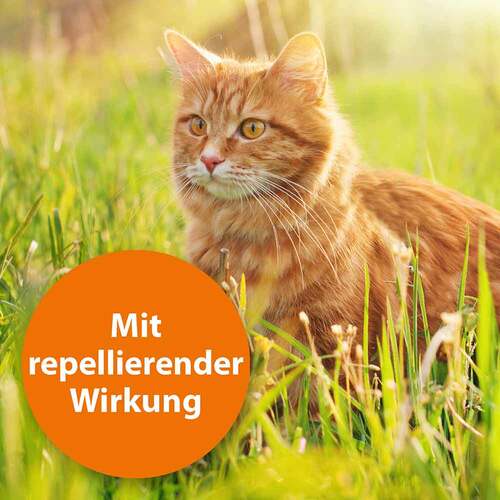 Ardap Zecken- / Flohschutzhalsband Katzen ab 4. Monat - 3