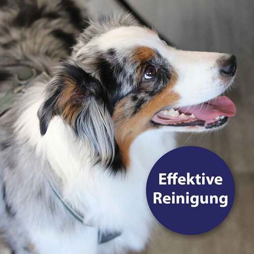 Canosept Zahnpflegespray f&uuml;r Hunde - 2