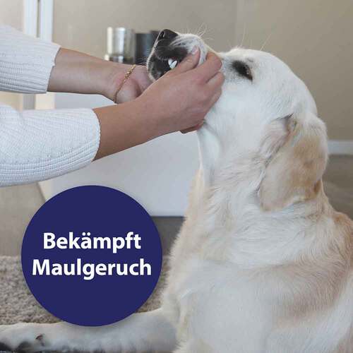 Canosept Zahnpflegespray f&uuml;r Hunde - 3