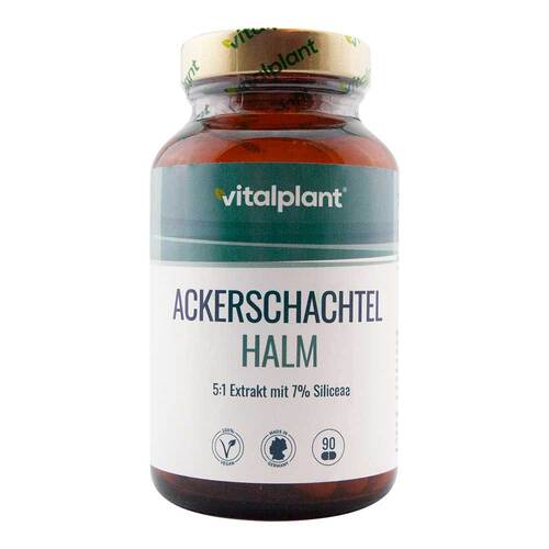 Ackerschachtelhalm 500 mg Extrakt Vitalplant Kapseln - 1