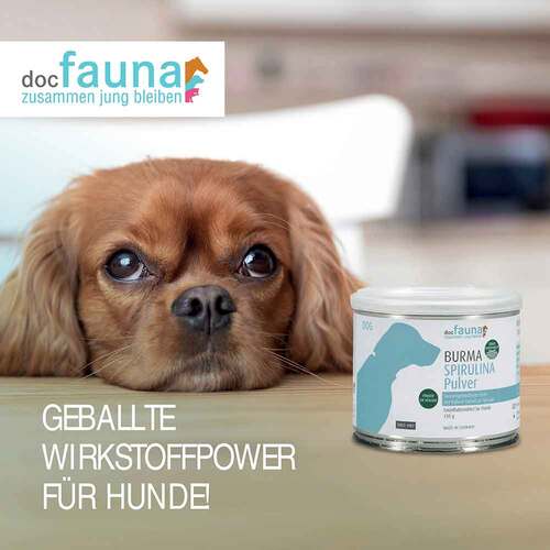 Burma Spirulina Pulver f&uuml;r Hunde - 2