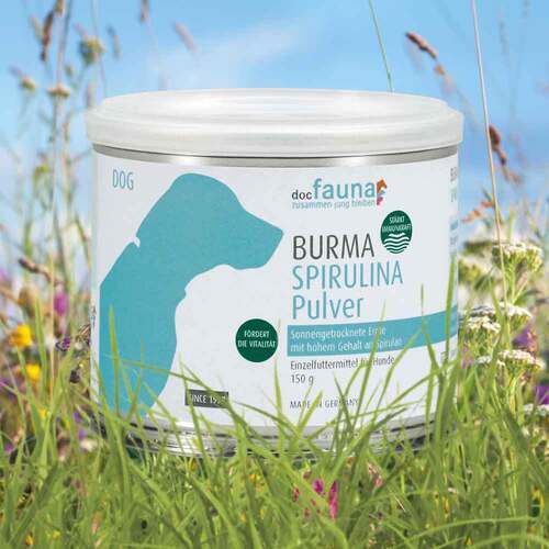 Burma Spirulina Pulver f&uuml;r Hunde - 6