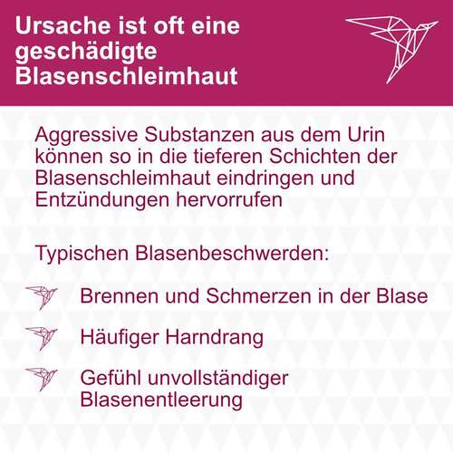 INSTYLAN 0,16 % Sp&uuml;ll&ouml;sung - 3