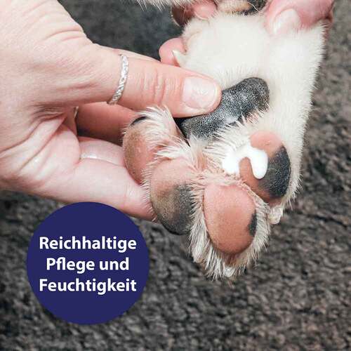 Canosept Pfotenpflege Gel f&uuml;r Hunde - 2
