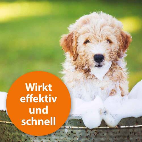 Ardap Anti-Zecken Shampoo f&uuml;r Hunde - 2