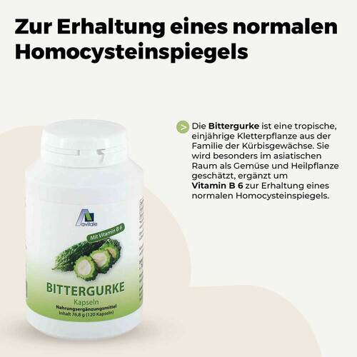 Bittergurke 500 mg 10:1 Extrakt Kapseln - 2