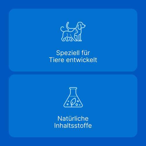 Traumeel LT ad us.vet.Tabletten - 5