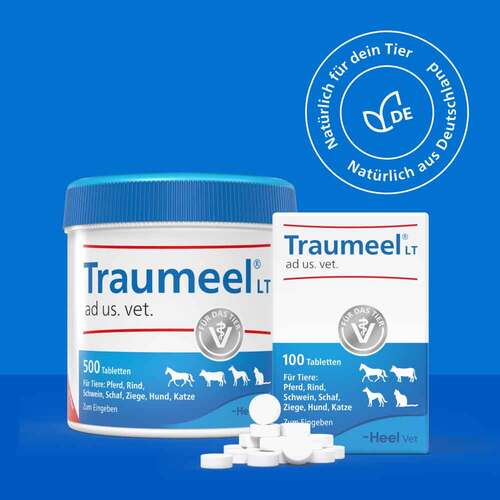 Traumeel LT ad us.vet.Tabletten - 7