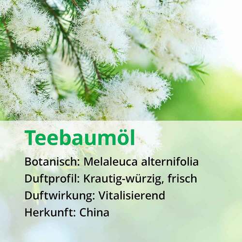 Teebaum &Ouml;l naturrein &auml;therisch - 4