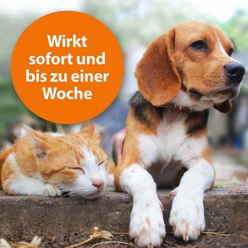 Ardap Zecken- und Floh-Puder vet. (f&uuml;r Tiere) - 2