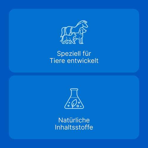 Traumeel LT Ampullen vet. (für Tiere) - 6