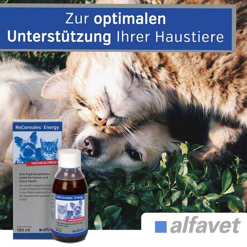 Reconvales Energy Diät-Erg.Futterm.für kl.Hund / Katze - 4